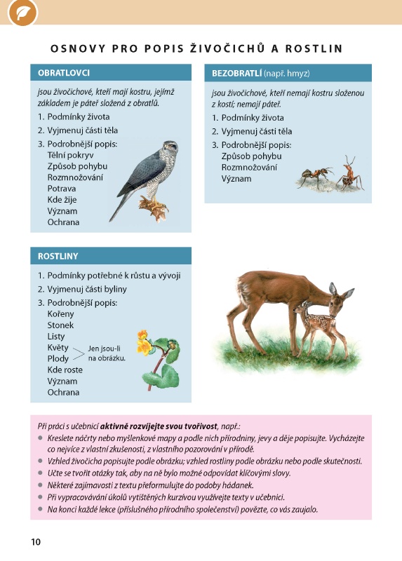 Osnovy pro popis živočichů a rostlin